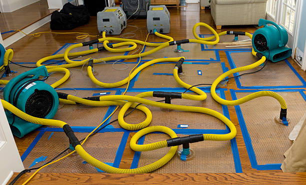 Professional Sewage Cleanup technician working in Morton, IL